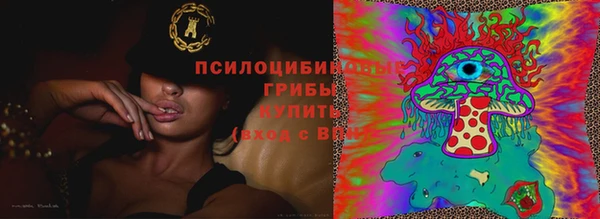 бошки Арсеньев