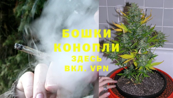 бошки Арсеньев